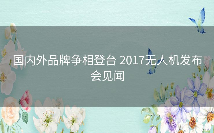 国内外品牌争相登台 2017无人机发布会见闻 国内外品牌争相登台 2017无人机发布会见闻