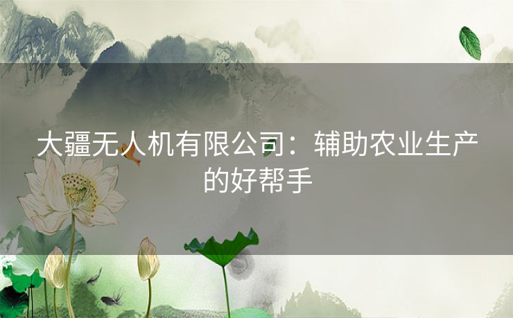 大疆无人机有限公司:辅助农业生产的好帮手 大疆无人机有限公司:辅助农业生产的好帮手