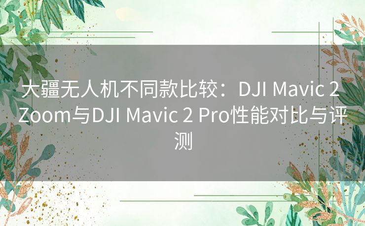 大疆无人机不同款比较:DJI Mavic 2 Zoom与DJI Mavic 2 Pro性能对比与评测 大疆无人机不同款比较:DJI Mavic 2 Zoom与DJI Mavic 2 Pro性能对比与评测