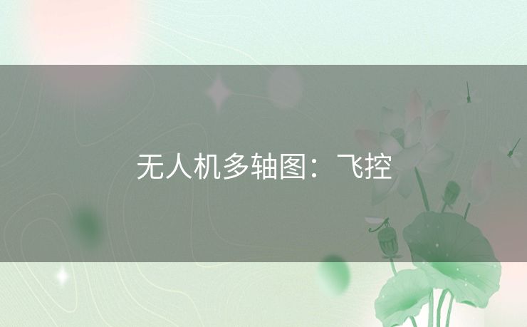 无人机多轴图:飞控 无人机多轴图:飞控