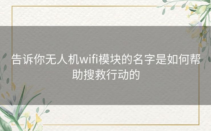 告诉你无人机wifi模块的名字是如何帮助搜救行动的 告诉你无人机wifi模块的名字是如何帮助搜救行动的