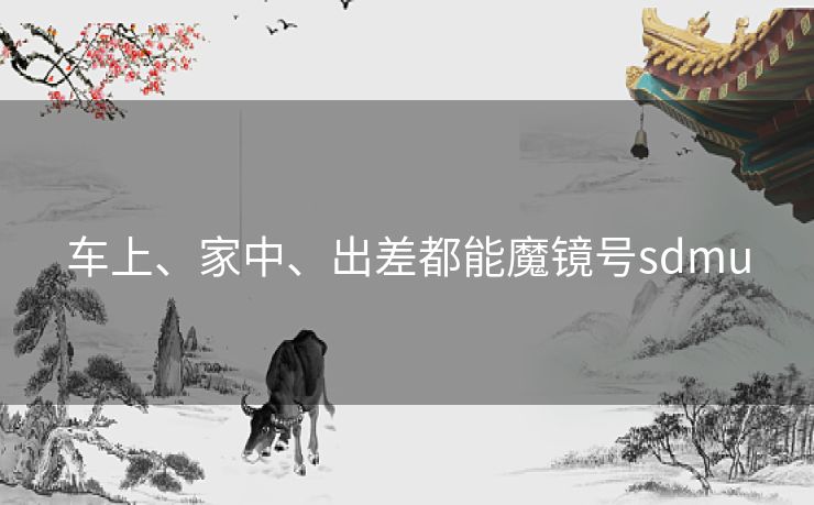 车上、家中、出差都能魔镜号sdmu 车上、家中、出差都能魔镜号sdmu