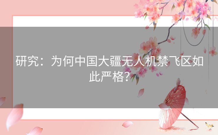 研究:为何中国大疆无人机禁飞区如此严格? 研究:为何中国大疆无人机禁飞区如此严格?