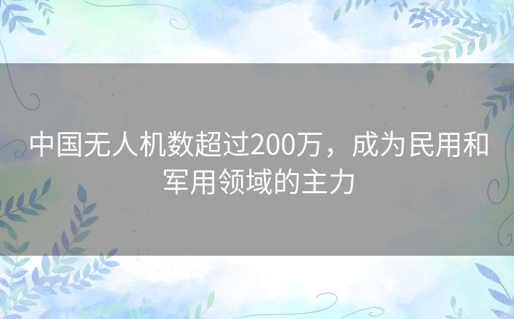 中国无人机数超过200万,成为民用和军用领域的主力 中国无人机数超过200万,成为民用和军用领域的主力