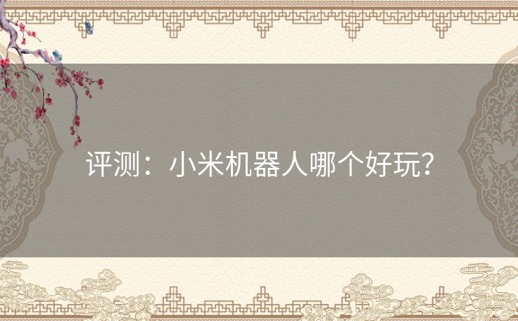 评测:小米机器人哪个好玩? 评测:小米机器人哪个好玩?