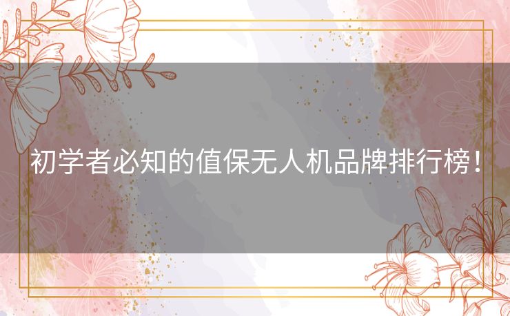 初学者必知的值保无人机品牌排行榜! 初学者必知的值保无人机品牌排行榜!