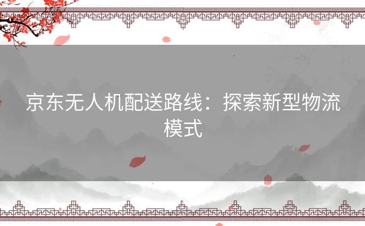 京东无人机配送路线:探索新型物流模式 京东无人机配送路线:探索新型物流模式
