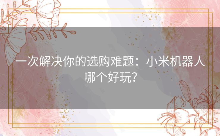 一次解决你的选购难题:小米机器人哪个好玩? 一次解决你的选购难题:小米机器人哪个好玩?