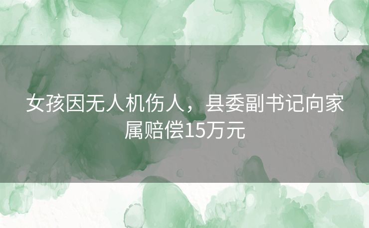 女孩因无人机伤人,县委副书记向家属赔偿15万元 女孩因无人机伤人,县委副书记向家属赔偿15万元