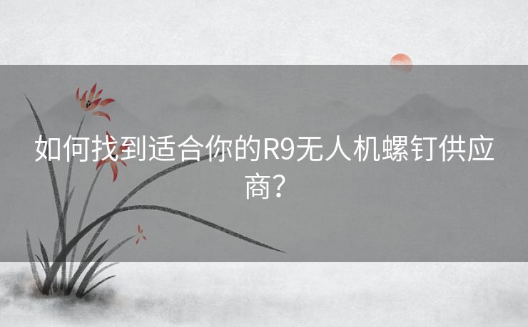如何找到适合你的R9无人机螺钉供应商? 如何找到适合你的R9无人机螺钉供应商?