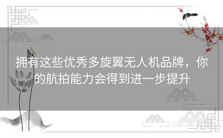 拥有这些优秀多旋翼无人机品牌,你的航拍能力会得到进一步提升 拥有这些优秀多旋翼无人机品牌,你的航拍能力会得到进一步提升