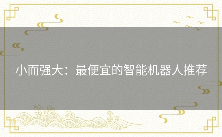 小而强大:最便宜的智能机器人推荐 小而强大:最便宜的智能机器人推荐