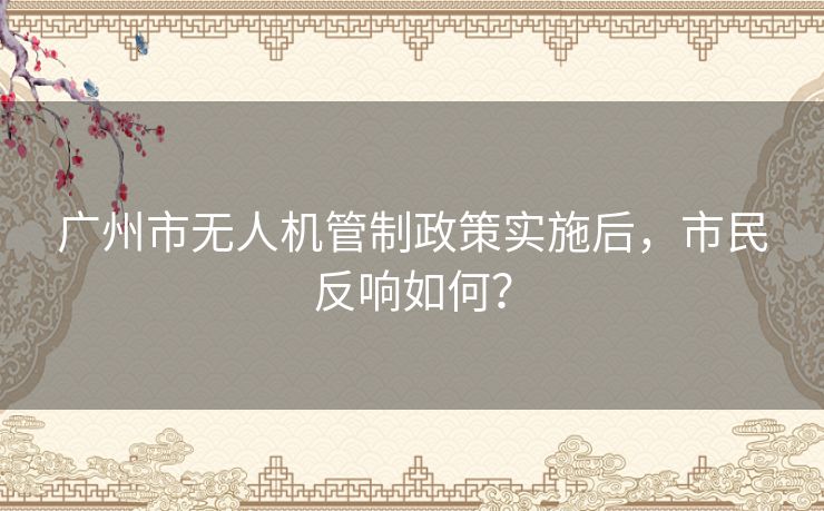 广州市无人机管制政策实施后,市民反响如何? 广州市无人机管制政策实施后,市民反响如何?