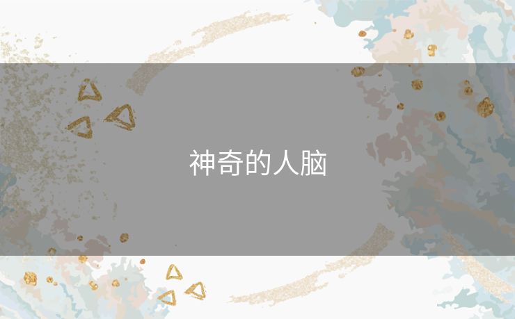 神奇的人脑 神奇的人脑