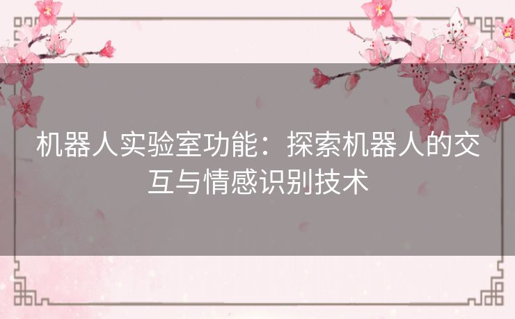 机器人实验室功能：探索机器人的交互与情感识别技术
