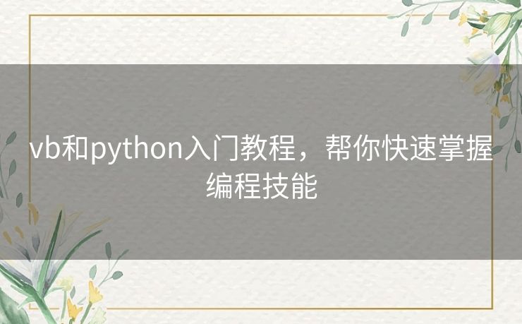 vb和python入门教程，帮你快速掌握编程技能