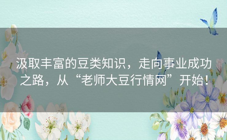 汲取丰富的豆类知识，走向事业成功之路，从“老师大豆行情网”开始！