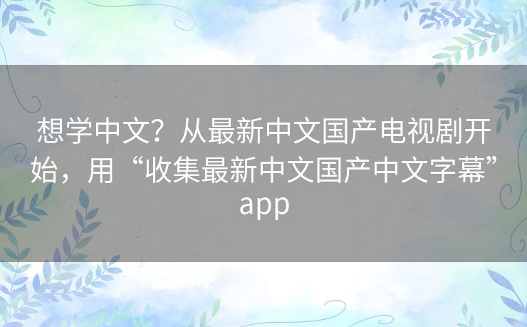 想学中文?从最新中文国产电视剧开始,用“收集最新中文国产中文字幕”app 想学中文?从最新中文国产电视剧开始,用“收集最新中文国产中文字幕”app